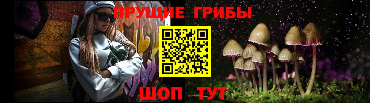 Галлюциногенные грибы мицелий  Галлюциногенные грибы MAGIC MUSHROOMS  Вход с VPN  Александров 